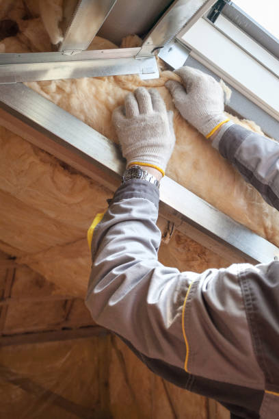 Best Blown-In Insulation  in , ID